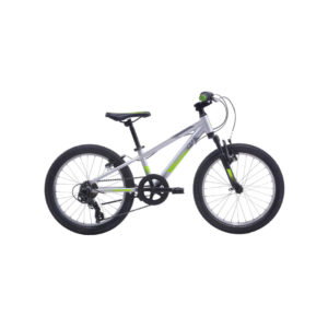 Avanti Bike Shadow 20 Silver/Green