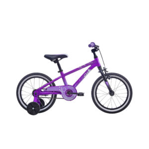 Avanti Bike Spice 16 Metallic Purple